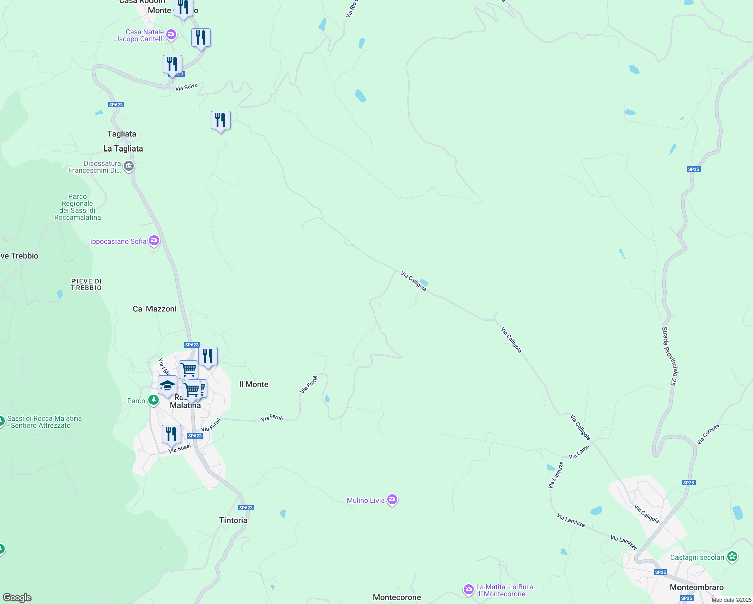 map of restaurants, bars, coffee shops, grocery stores, and more near 2594 Via Fernè in Provincia di Modena