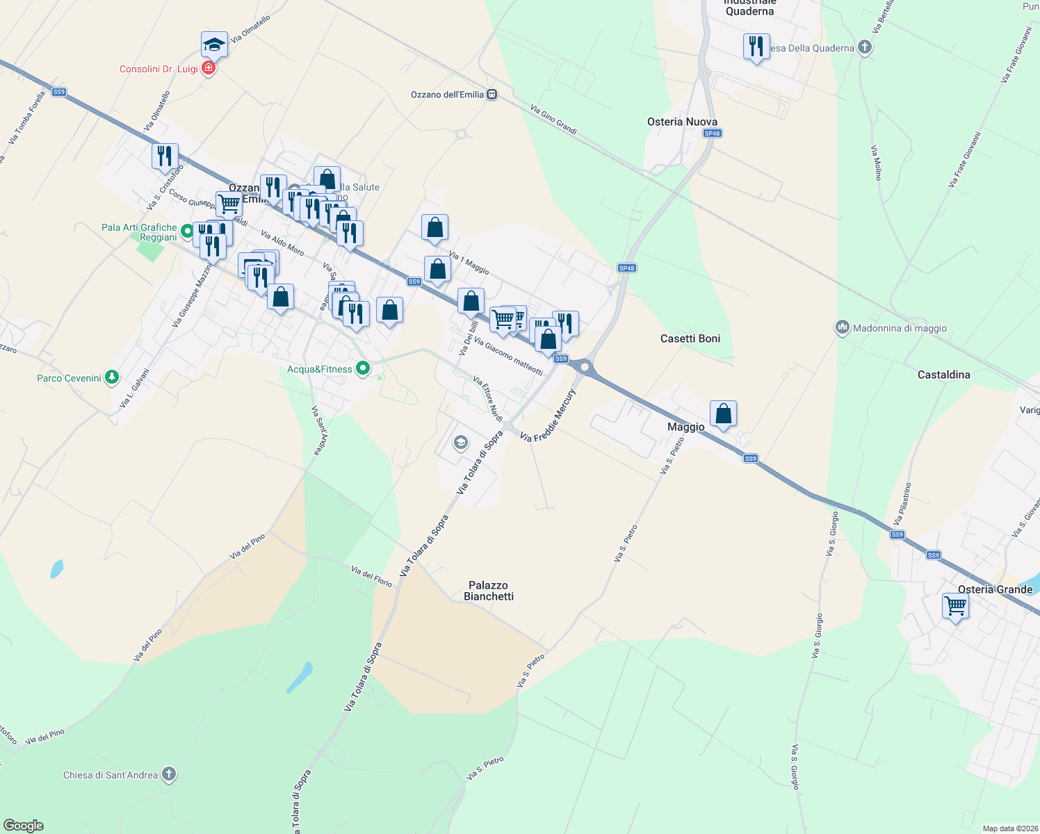 map of restaurants, bars, coffee shops, grocery stores, and more near 39 Via Tolara di Sopra in Ozzano Dell`Emilia