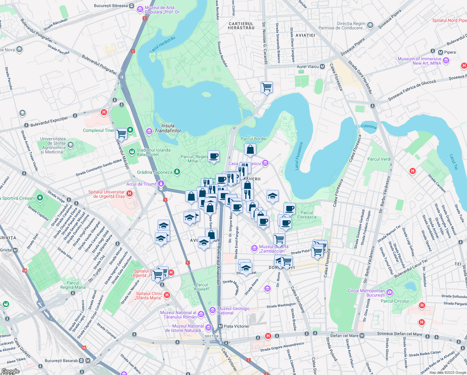 map of restaurants, bars, coffee shops, grocery stores, and more near 4 Strada Herăstrău in București