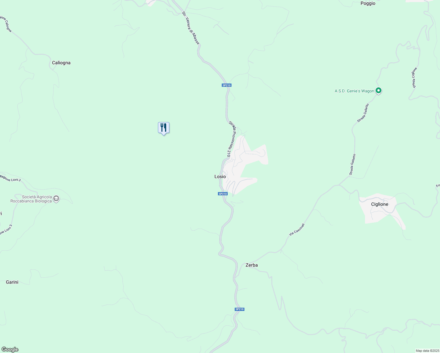 map of restaurants, bars, coffee shops, grocery stores, and more near in Losio