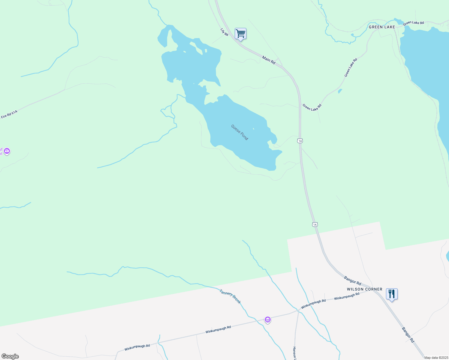 map of restaurants, bars, coffee shops, grocery stores, and more near 746 Green Lake Road in Dedham