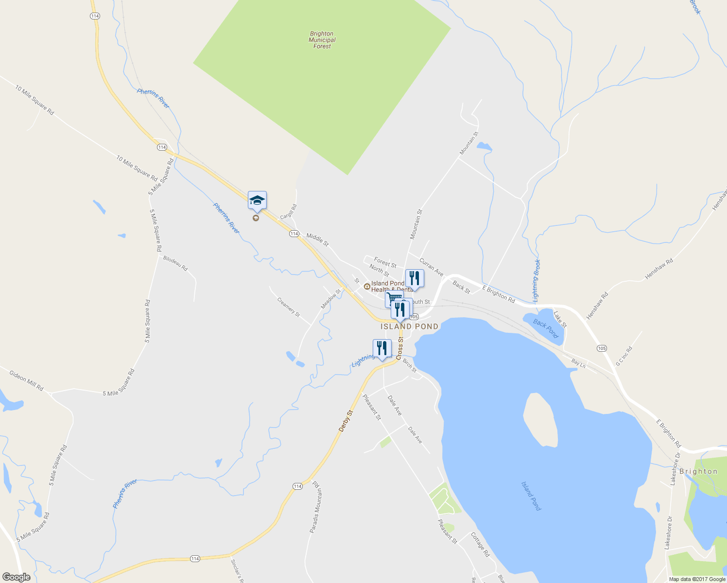 map of restaurants, bars, coffee shops, grocery stores, and more near 313 South Street in Brighton