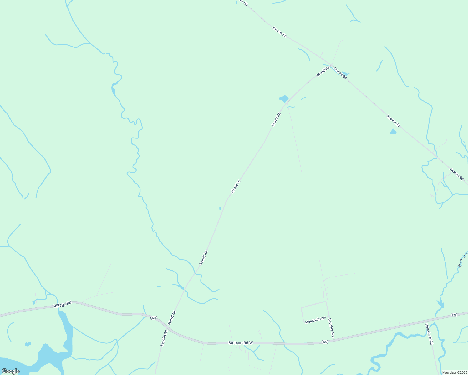 map of restaurants, bars, coffee shops, grocery stores, and more near 345 Merrill Road in Levant
