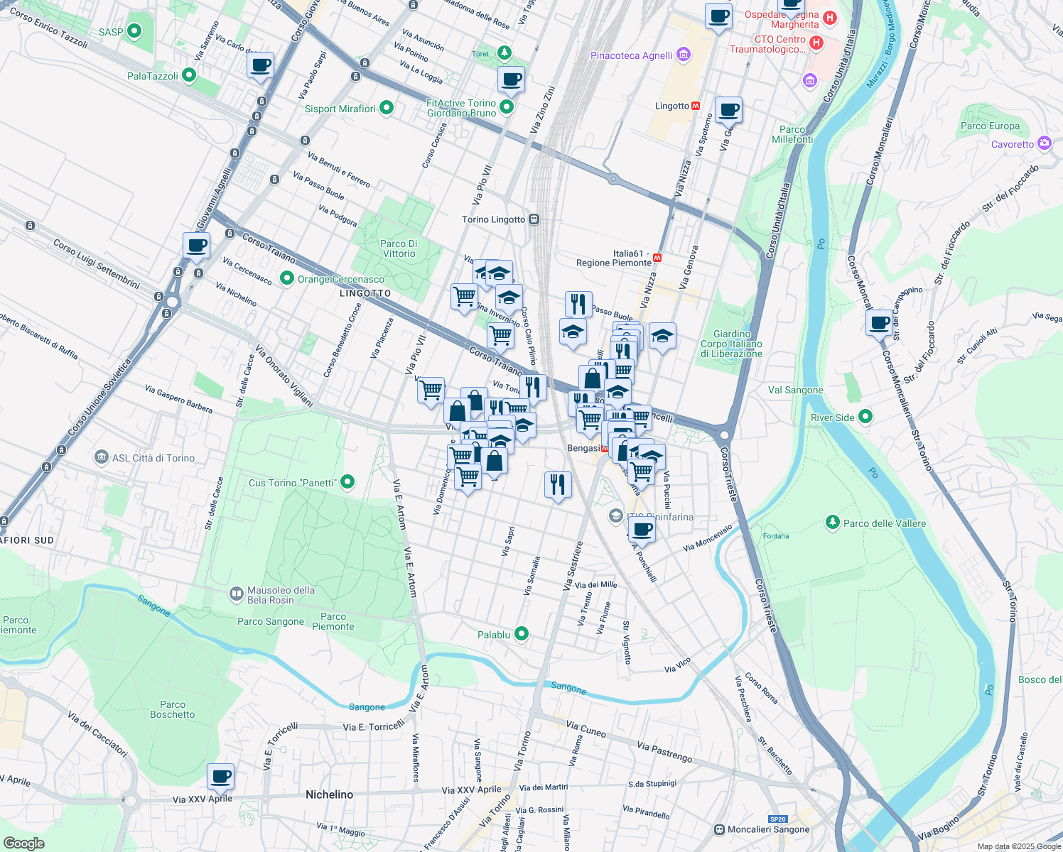 map of restaurants, bars, coffee shops, grocery stores, and more near 201 Via Onorato Vigliani in Torino