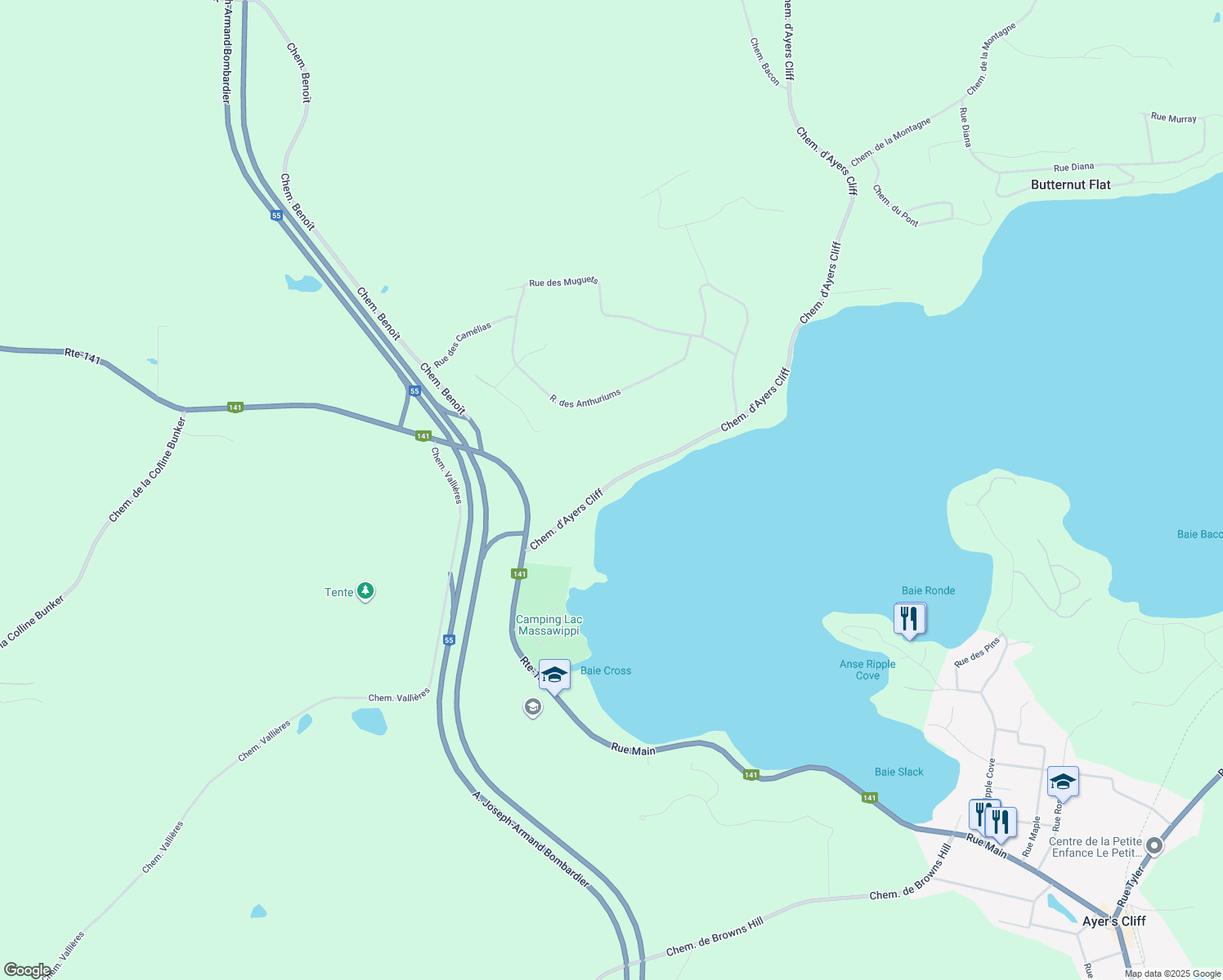 2105 Chemin d'Ayers Cliff, Ayer's Cliff QC Walk Score