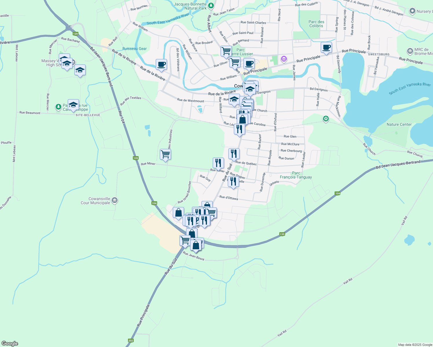 115 Rue de Ville Marie, Cowansville QC Walk Score