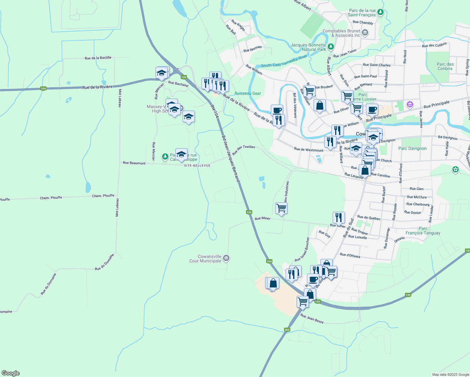 107 Rue des Bouleaux, Cowansville QC Walk Score