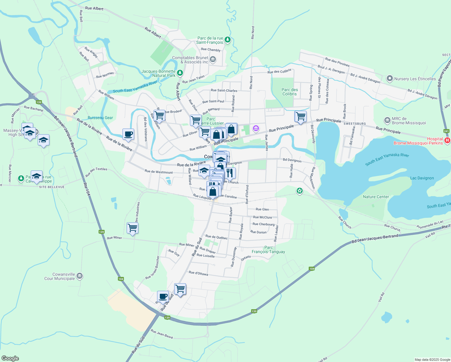 113 Rue Church, Cowansville QC Walk Score