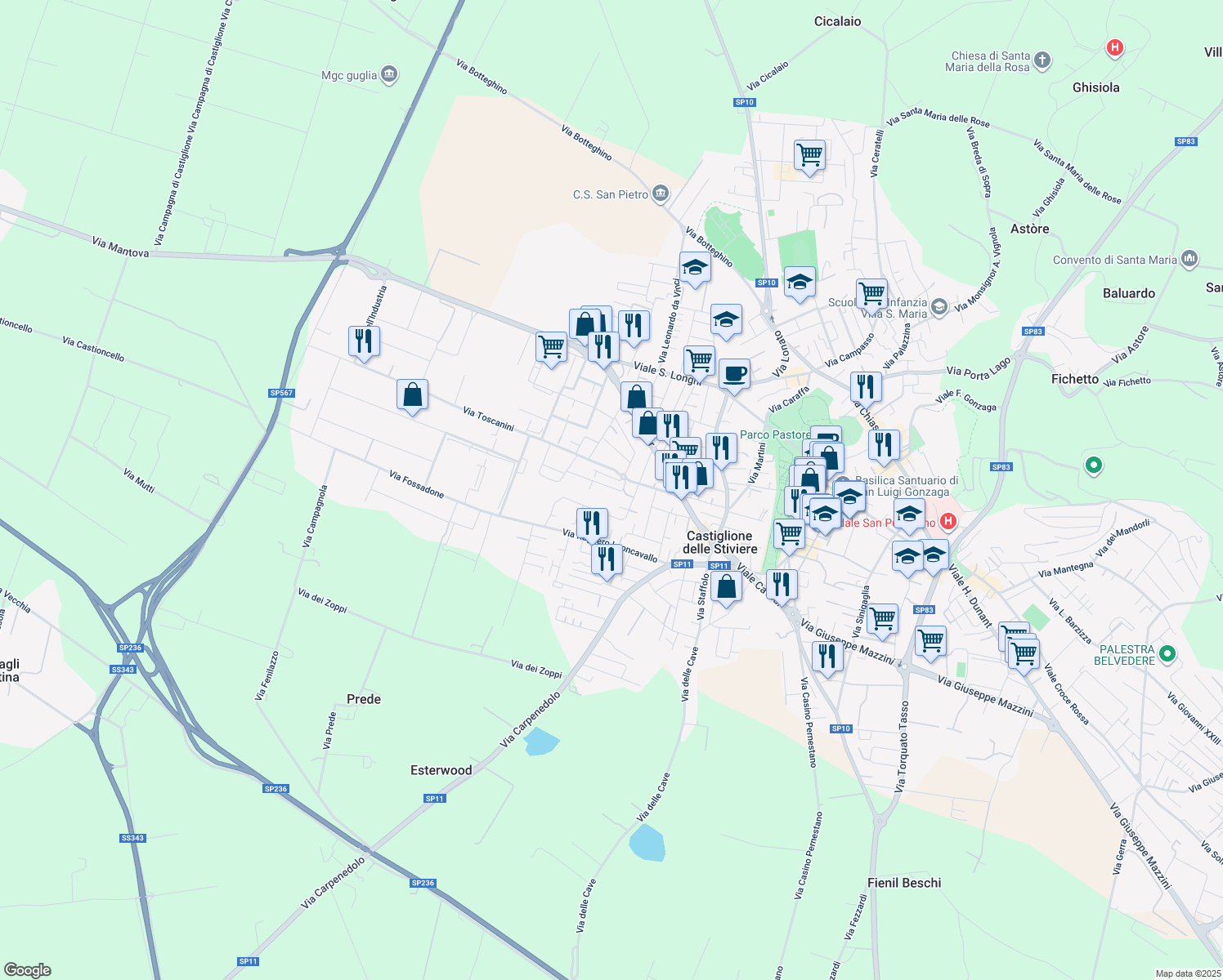 map of restaurants, bars, coffee shops, grocery stores, and more near 11 Via Amilcare Ponchielli in Castiglione delle Stiviere