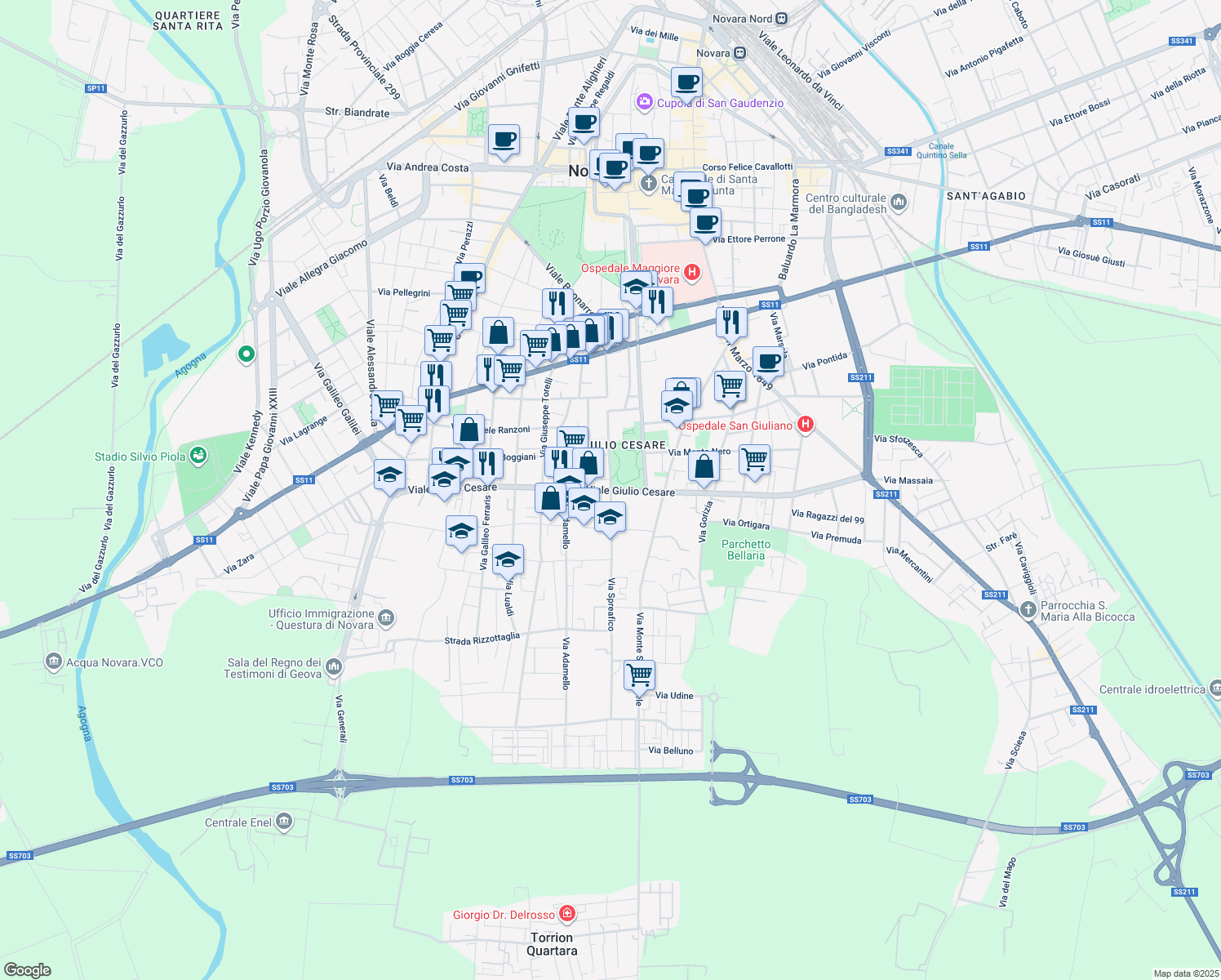 map of restaurants, bars, coffee shops, grocery stores, and more near 202-210 Viale Giulio Cesare in Novara