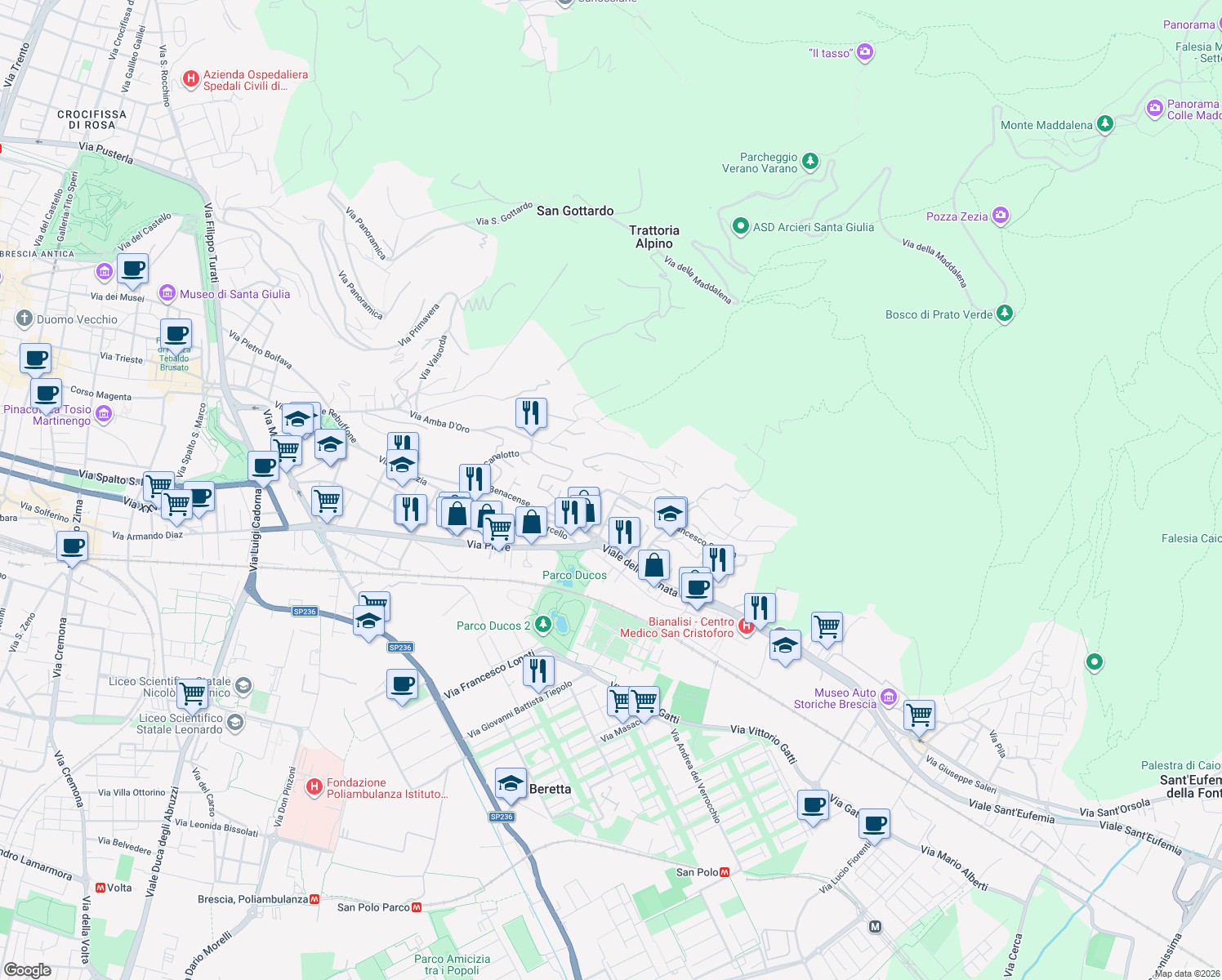 map of restaurants, bars, coffee shops, grocery stores, and more near 25 Via Ronchi di San Francesco da Paola in Brescia
