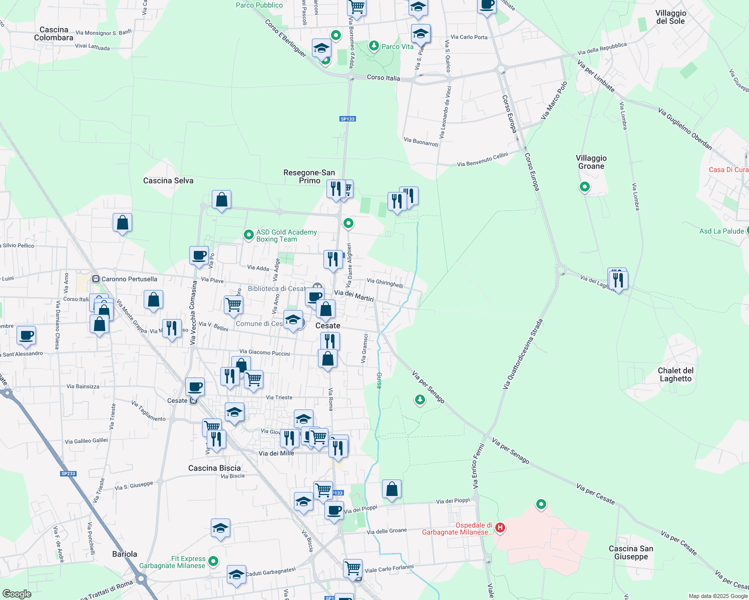 map of restaurants, bars, coffee shops, grocery stores, and more near 47 Via dei Martiri in Cesate