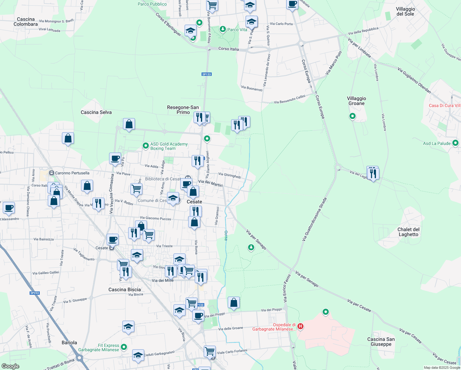 map of restaurants, bars, coffee shops, grocery stores, and more near 47 Via dei Martiri in Cesate