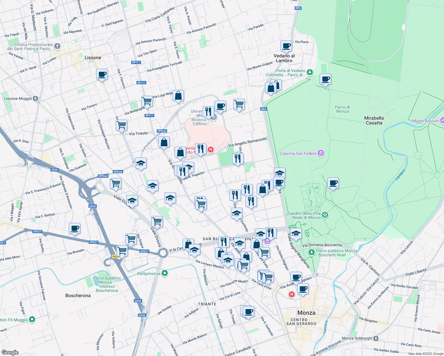 map of restaurants, bars, coffee shops, grocery stores, and more near 71 Via Gaetano Donizetti in Monza