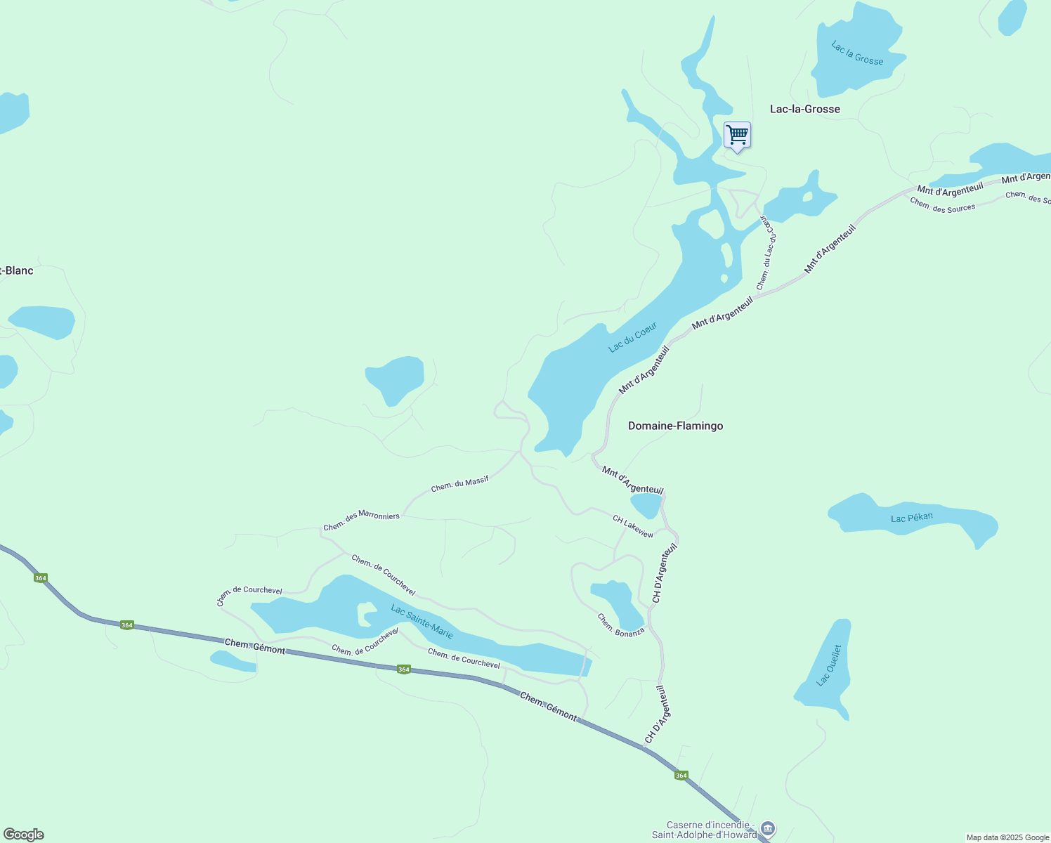 66 Chemin Lakeview, SaintAdolphed'Howard QC Walk Score