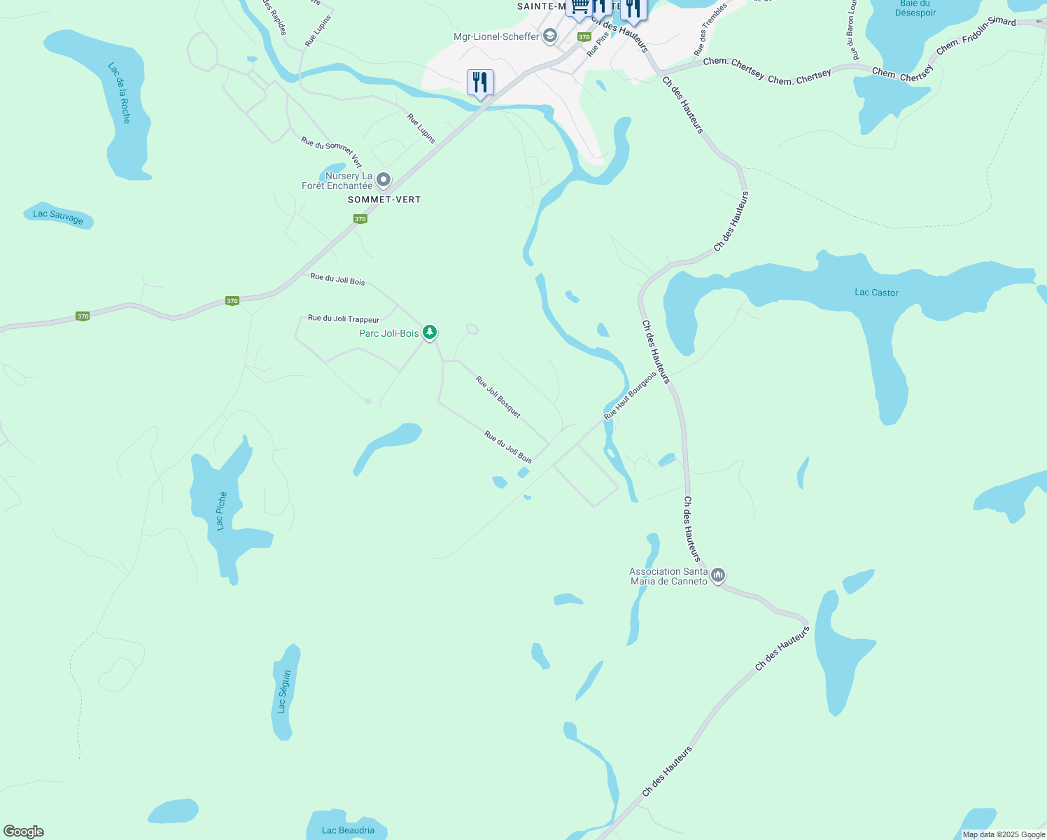 25 Rue du Joli Bosquet, SainteMargueriteduLacMasson QC Walk Score