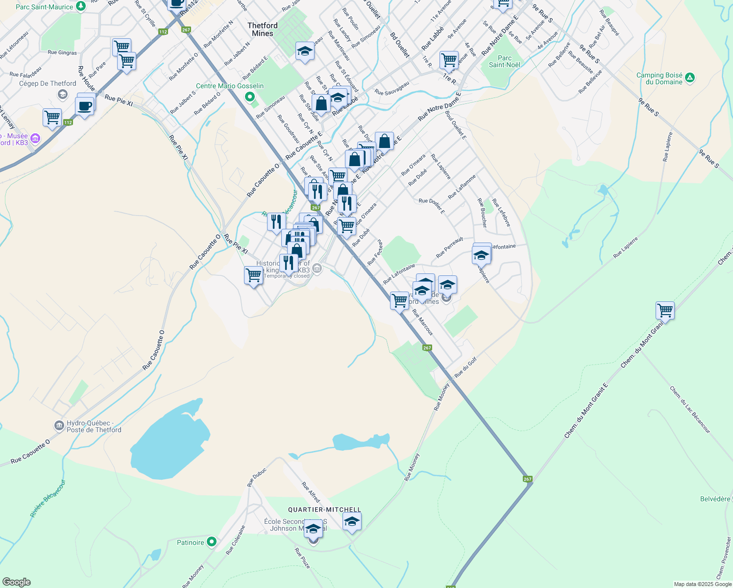 map of restaurants, bars, coffee shops, grocery stores, and more near 84 Rue Lacerte in Thetford Mines