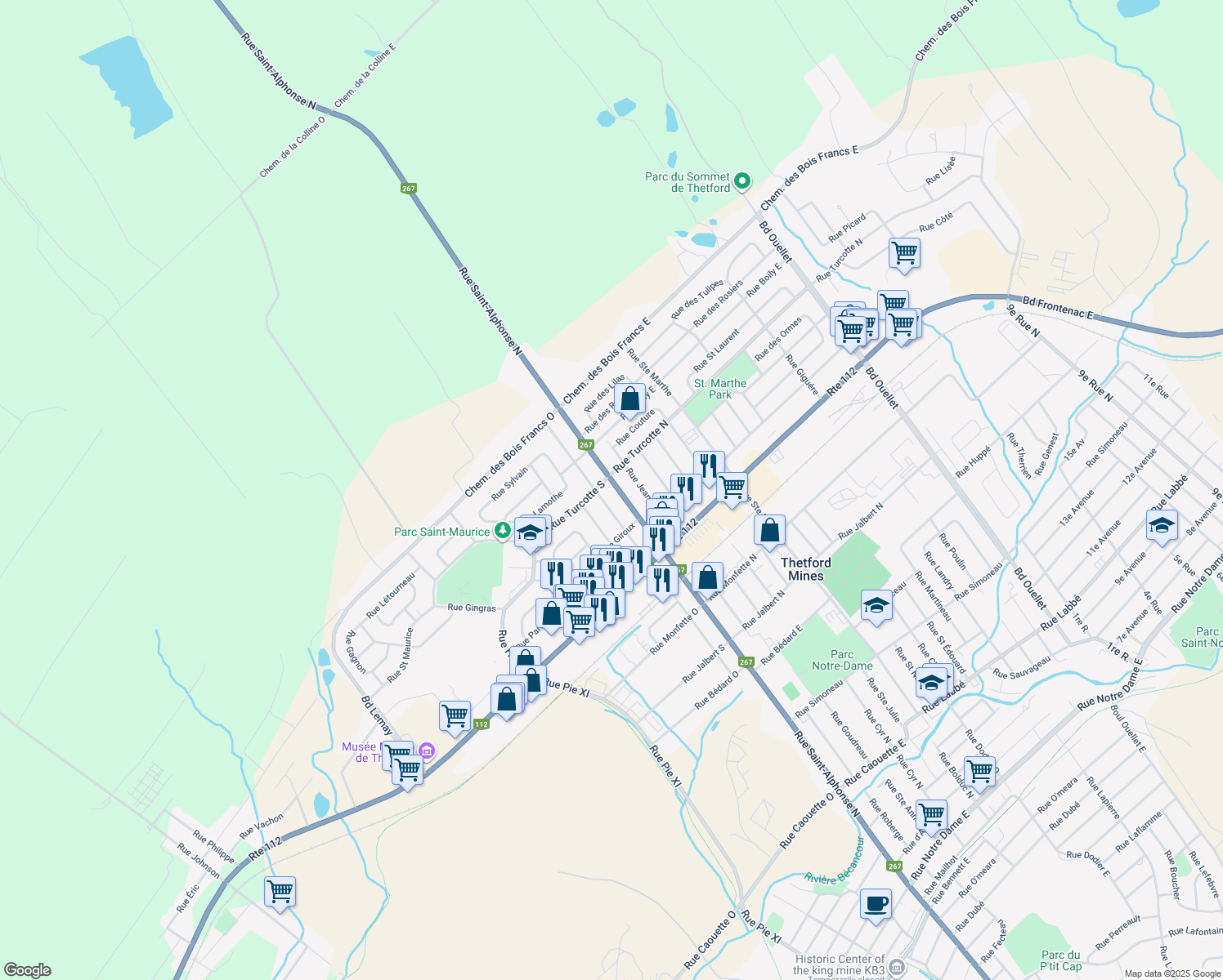 1258 Rue SaintAlphonse Nord, Thetford Mines QC Walk Score