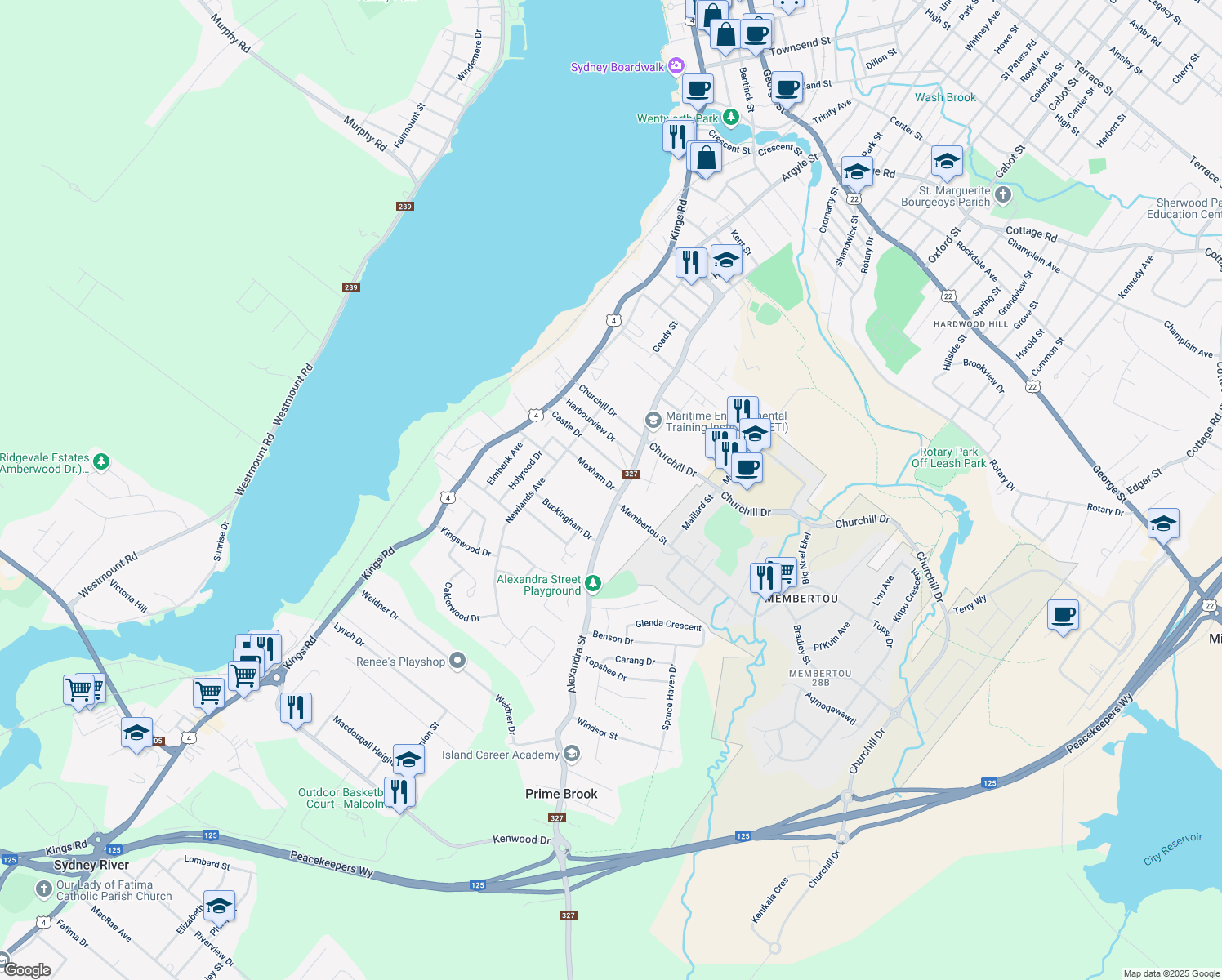 map of restaurants, bars, coffee shops, grocery stores, and more near 124 Moxham Drive in Sydney