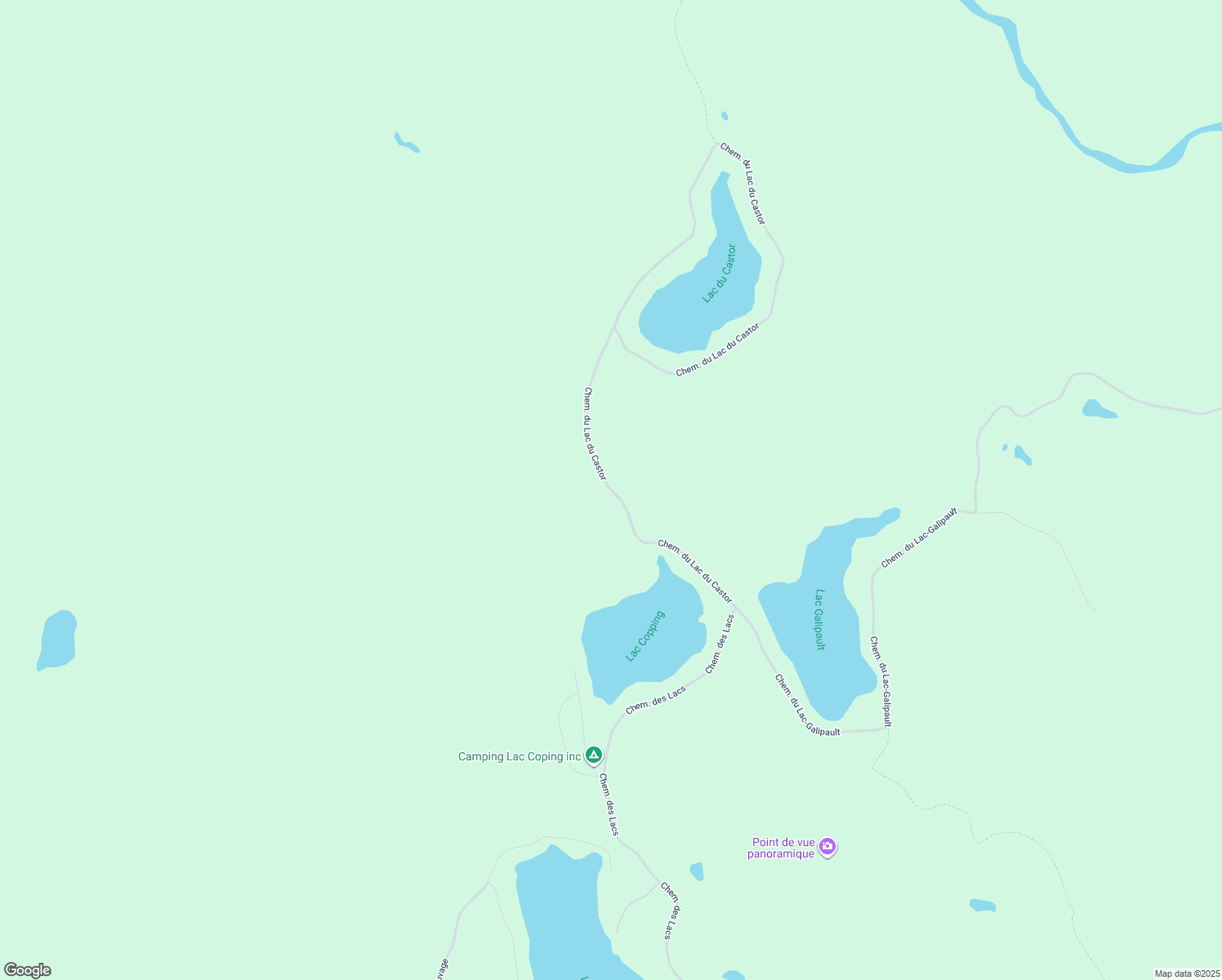 3018 Chemin du Lac du Castor, NotreDamedelaMerci QC Walk Score
