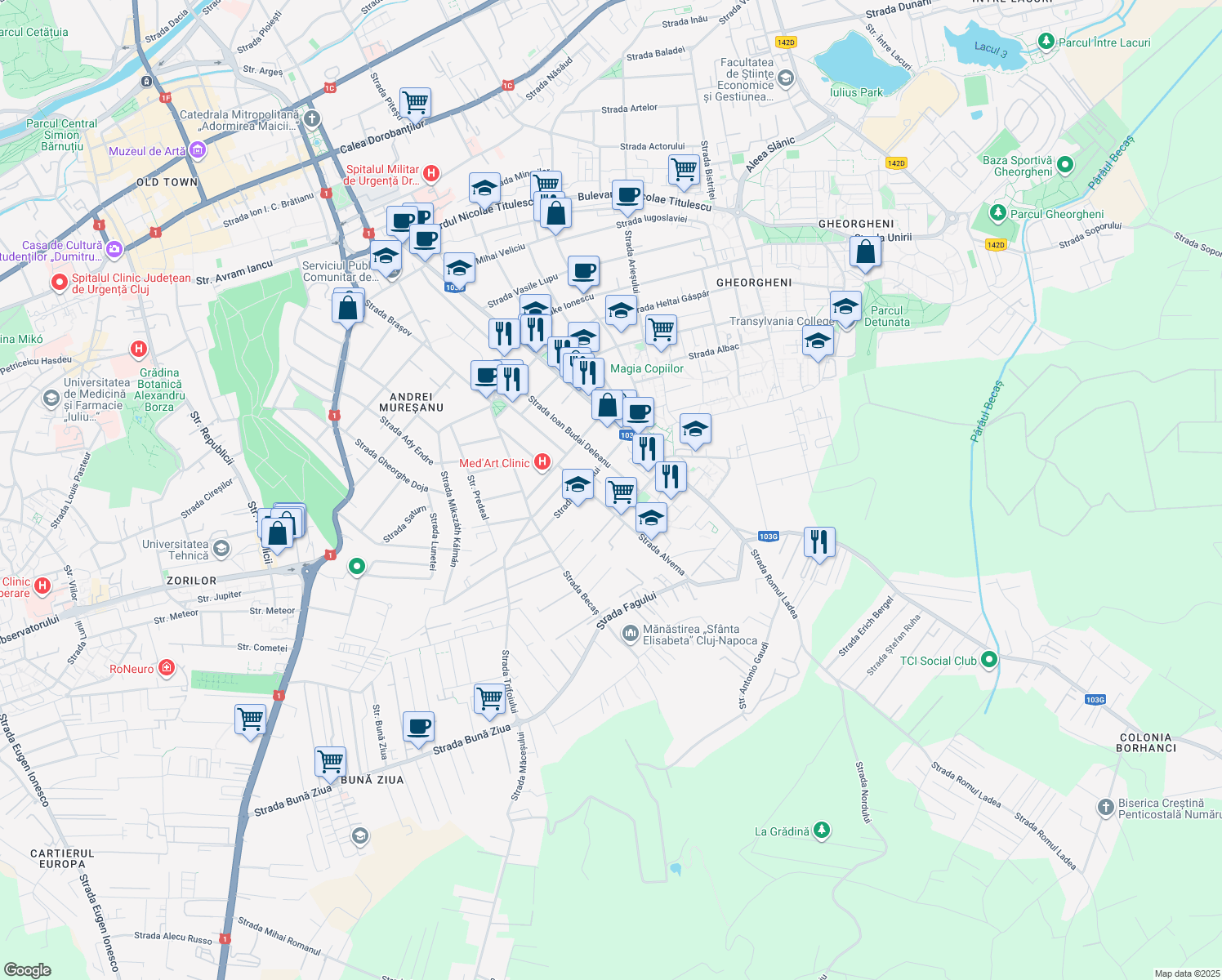 map of restaurants, bars, coffee shops, grocery stores, and more near in Cluj-Napoca