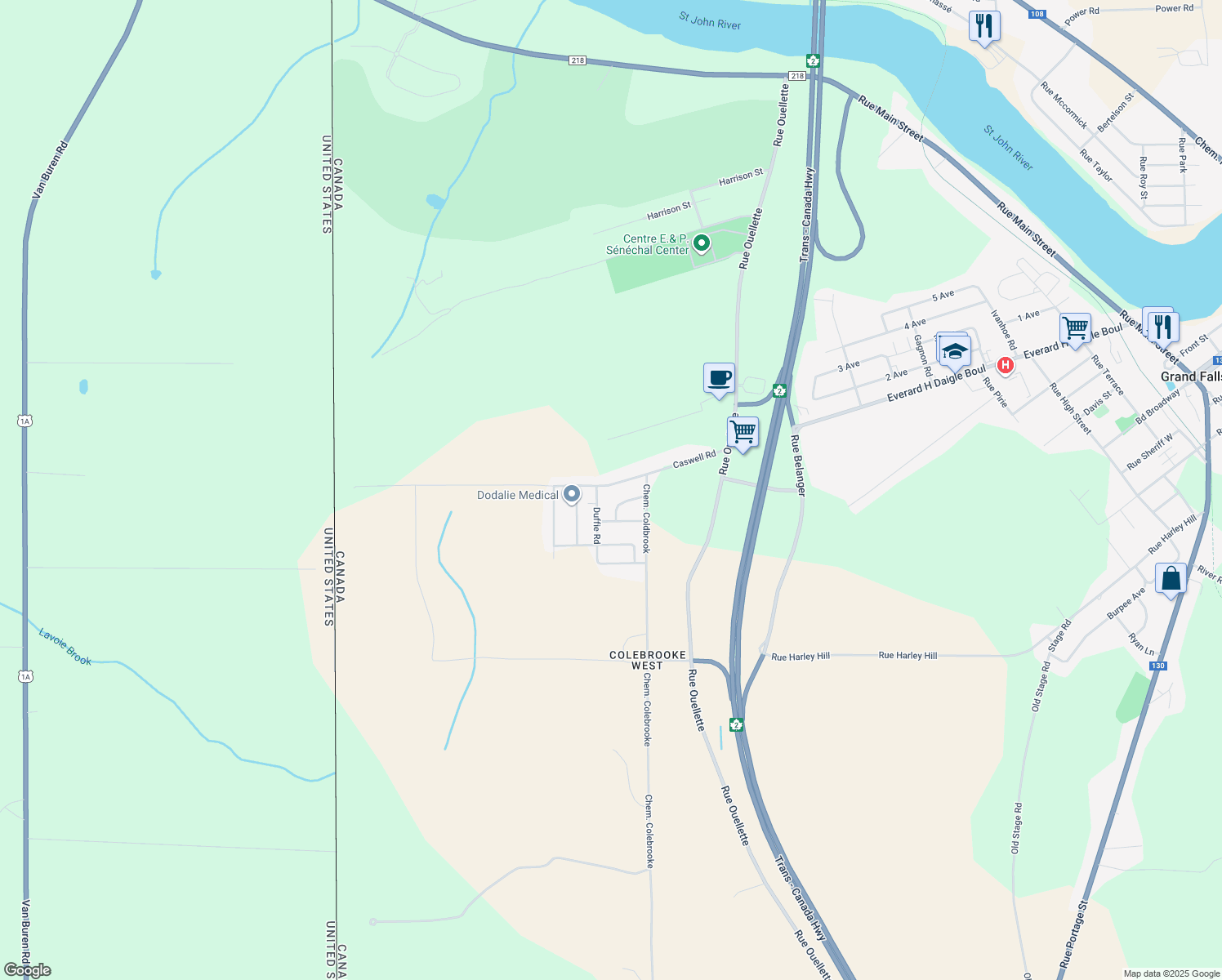 201 Caswell Road, Grand Falls NB Walk Score