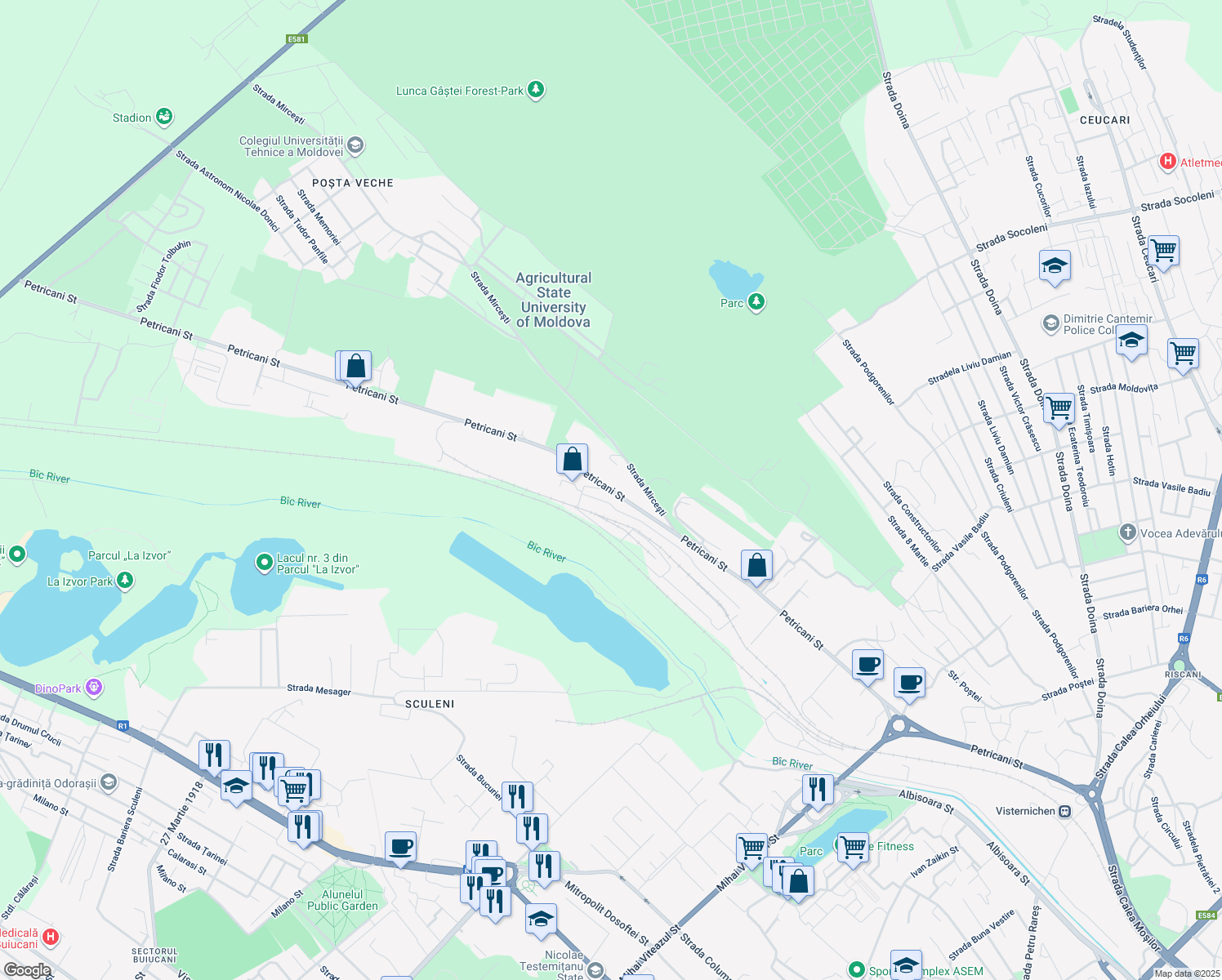 map of restaurants, bars, coffee shops, grocery stores, and more near Petricani Street in Chisinau