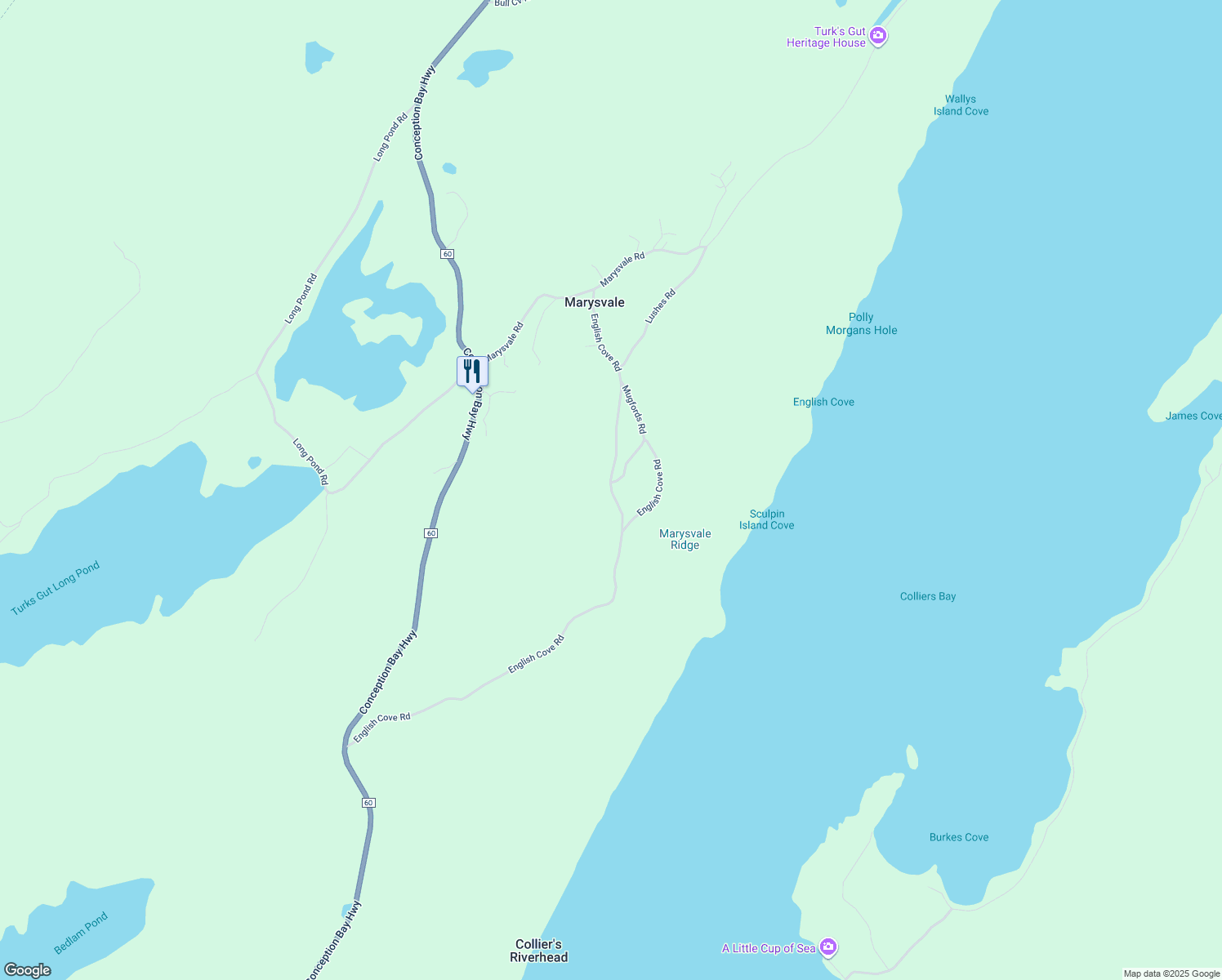 English Cove Road, Marysvale NL Walk Score