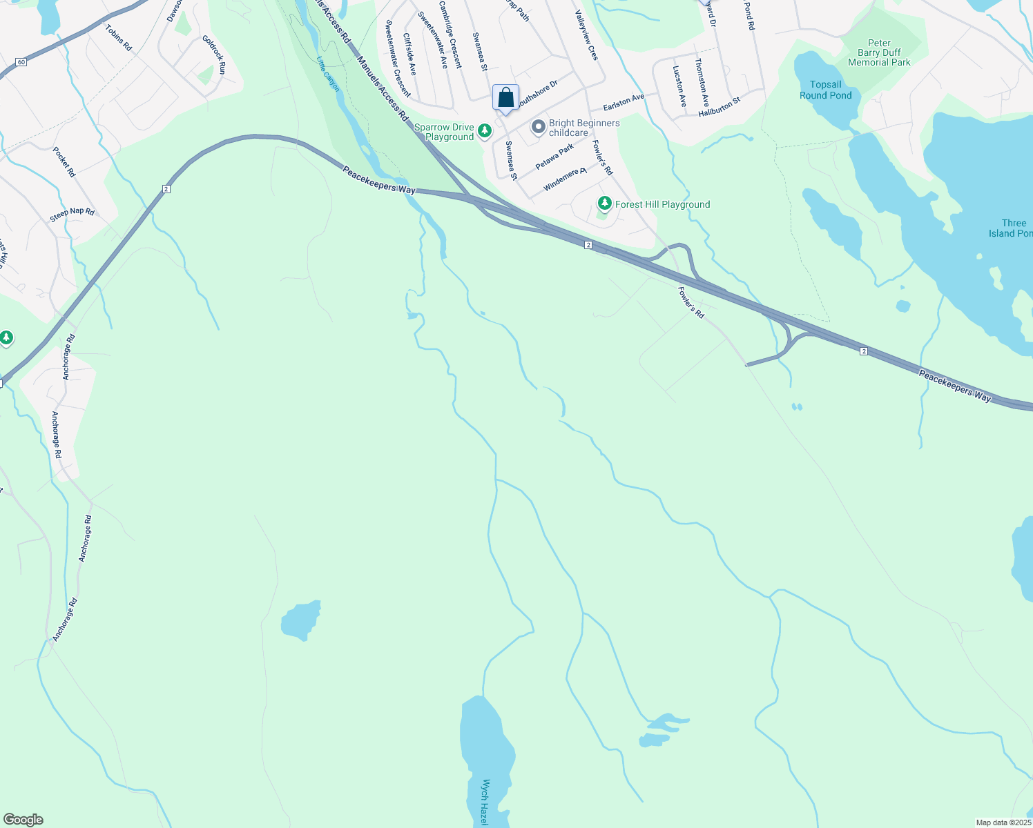 7 Orchard Avenue, Mount Pearl NL Walk Score