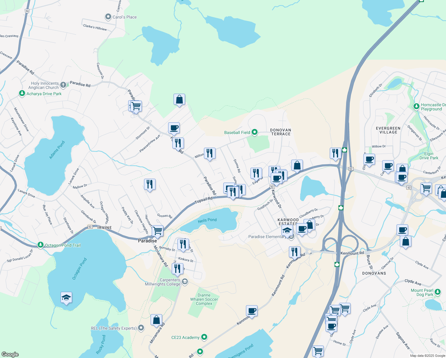 18 Samson Street, Mount Pearl NL Walk Score