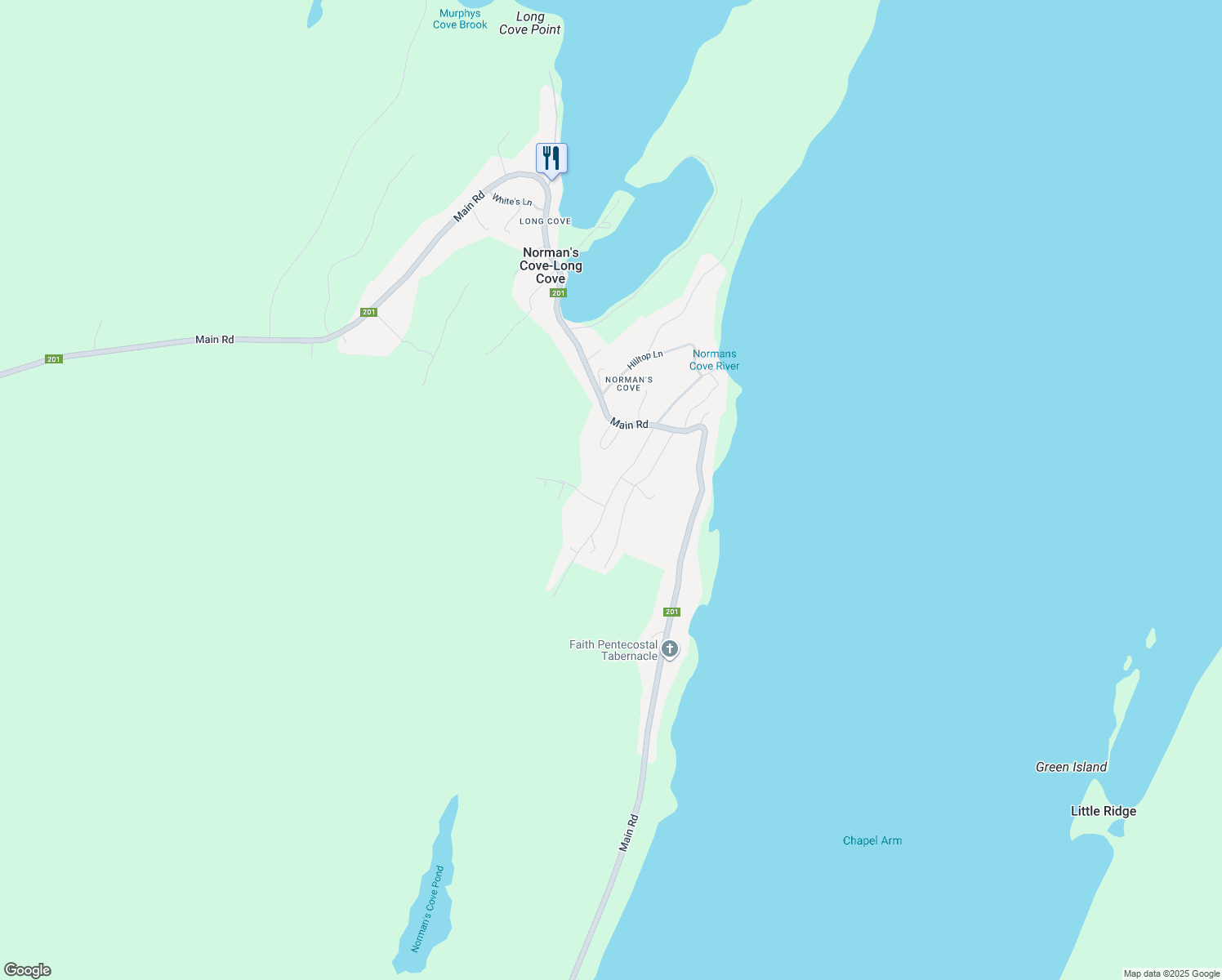 20 Riverview Avenue, Norman's CoveLong Cove NL Walk Score