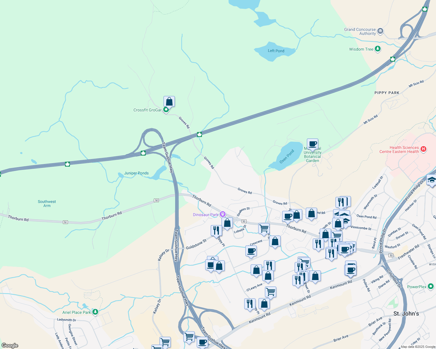map of restaurants, bars, coffee shops, grocery stores, and more near 184 Groves Road in St. John's