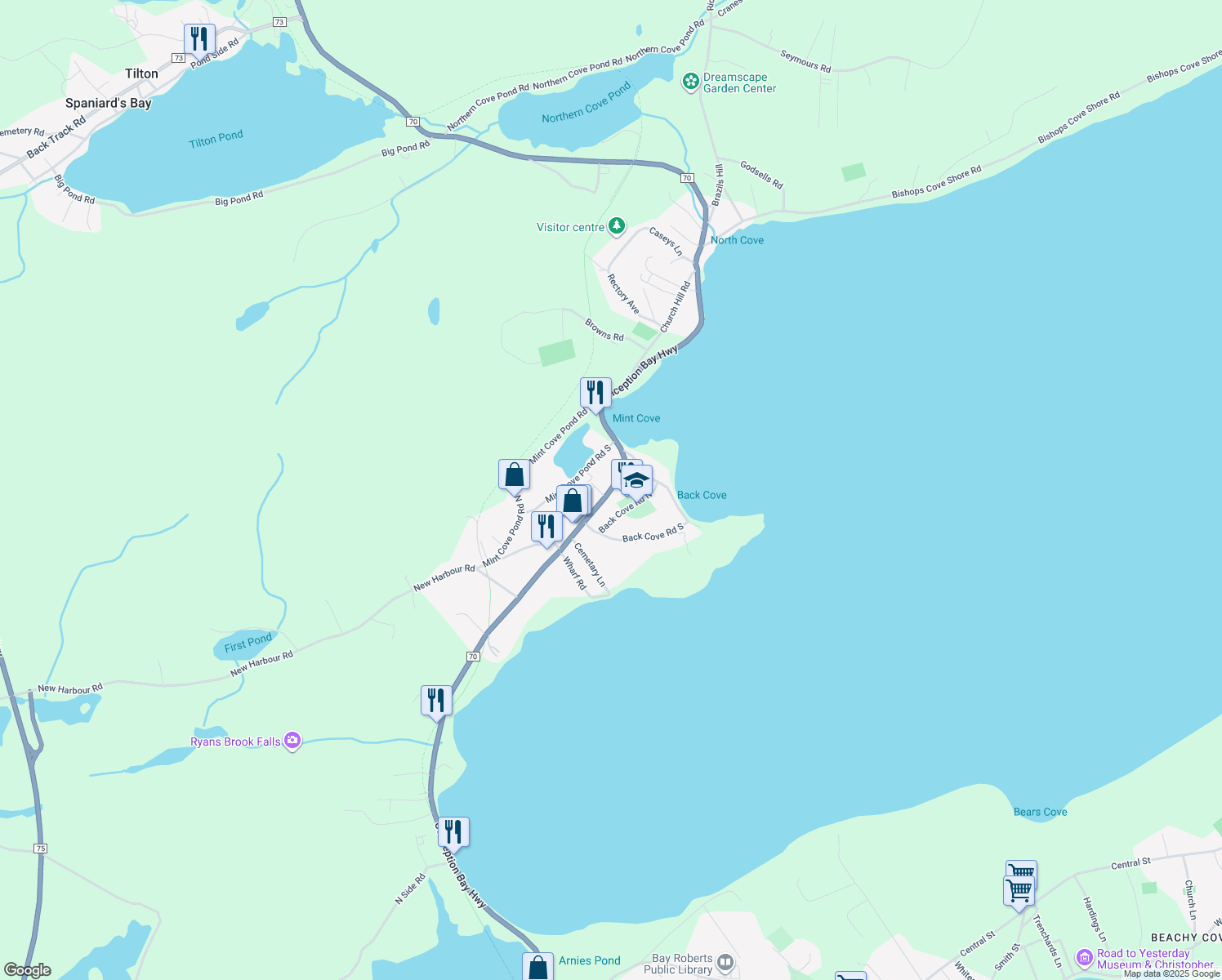 260 Conception Bay Highway, Spaniard's Bay NL Walk Score