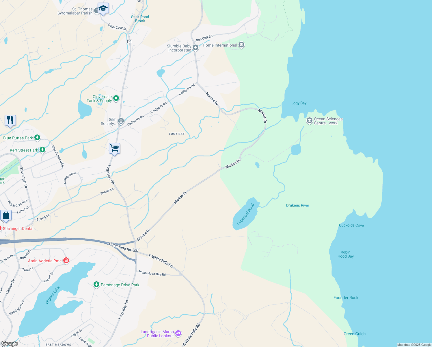 map of restaurants, bars, coffee shops, grocery stores, and more near 142 Marine Drive in St. John's