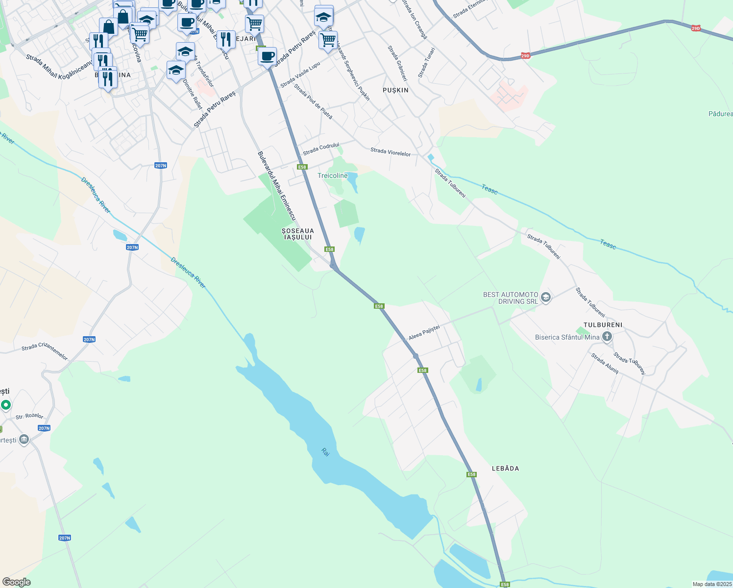 map of restaurants, bars, coffee shops, grocery stores, and more near 263 Calea Națională in Botoșani