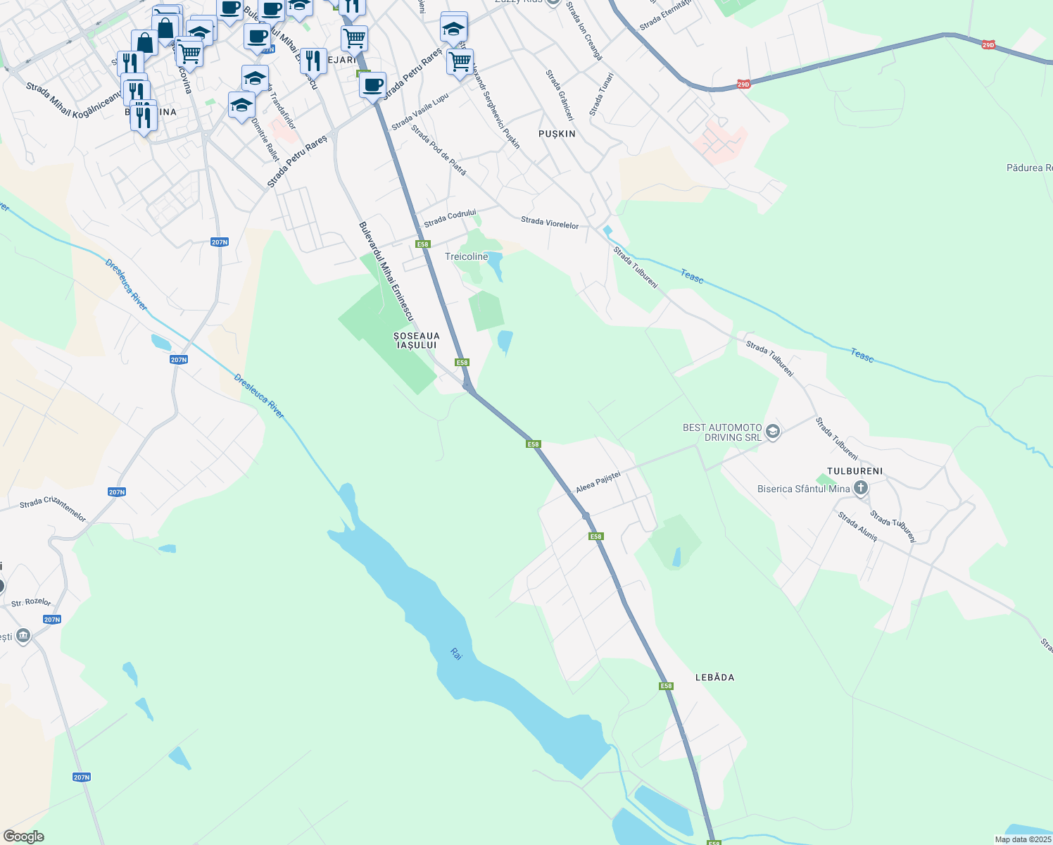 map of restaurants, bars, coffee shops, grocery stores, and more near 263 Calea Națională in Botoșani
