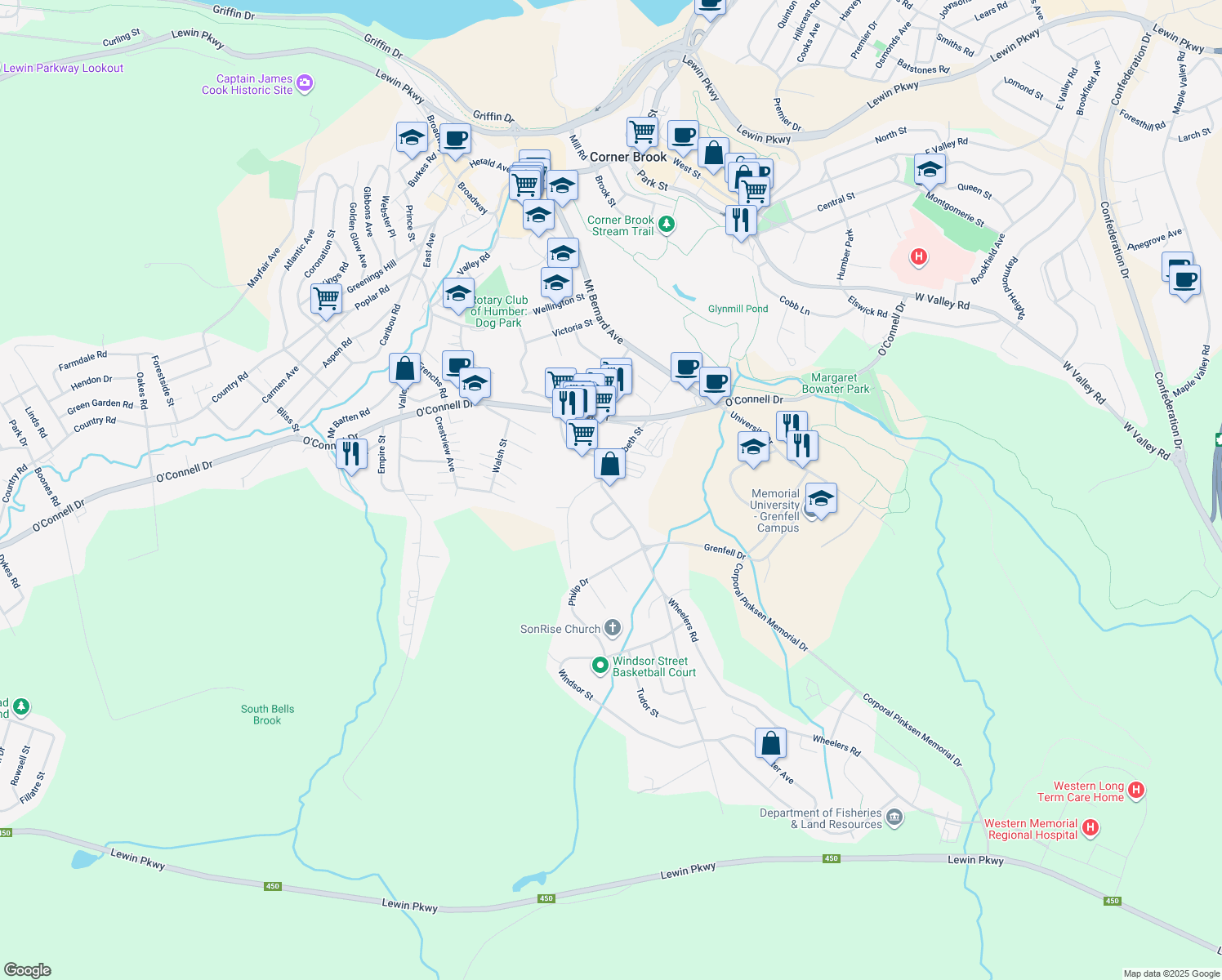 5 Elizabeth Street, Corner Brook NL Walk Score