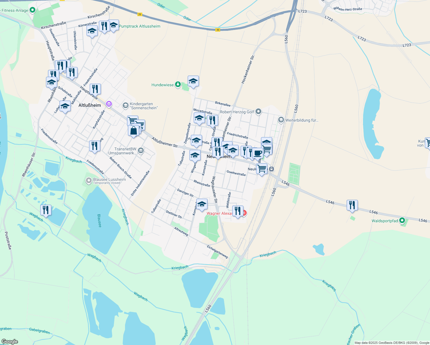 map of restaurants, bars, coffee shops, grocery stores, and more near in Neulußheim