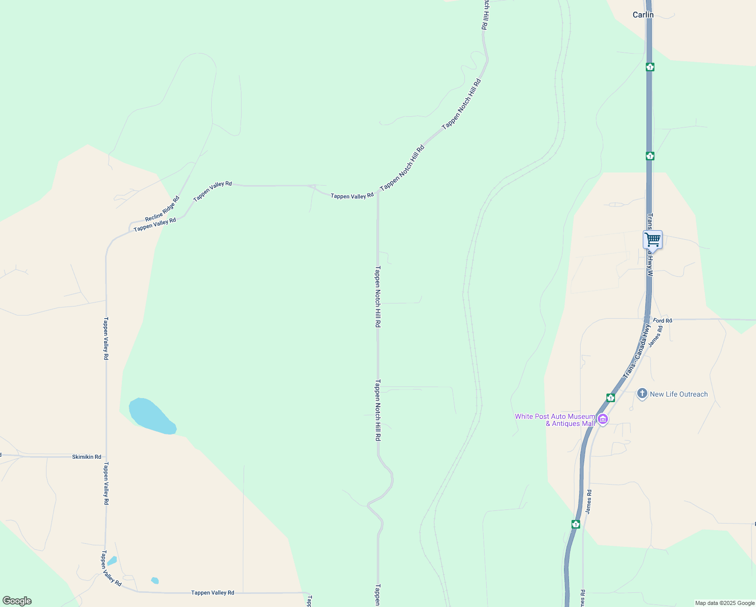 Tappen Notch Hill Road, Tappen BC Walk Score