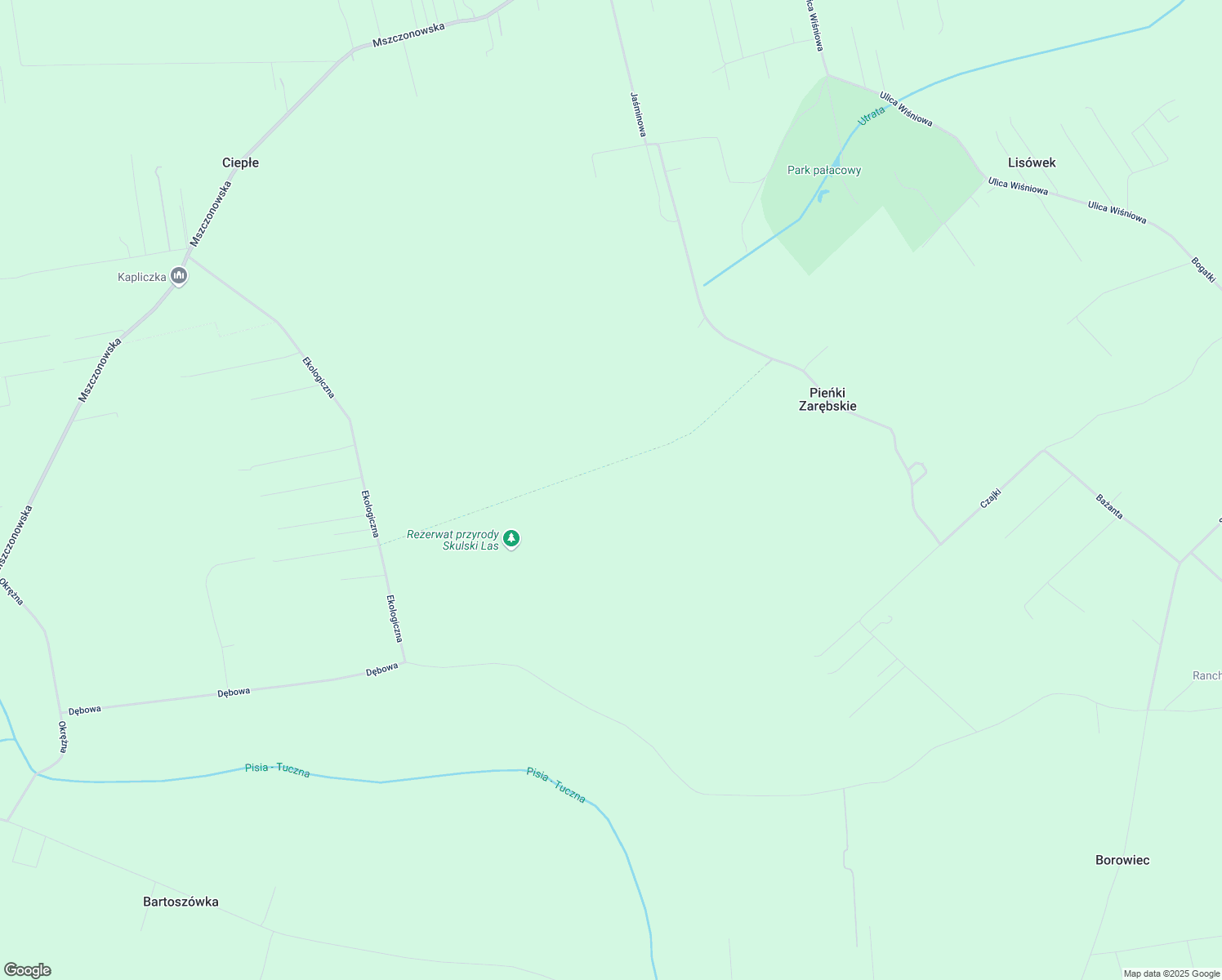 map of restaurants, bars, coffee shops, grocery stores, and more near Strażacka in grodziski