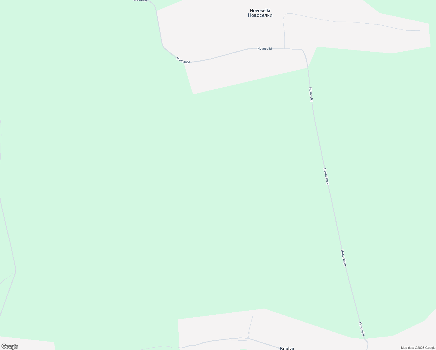 map of restaurants, bars, coffee shops, grocery stores, and more near in Shatsky District