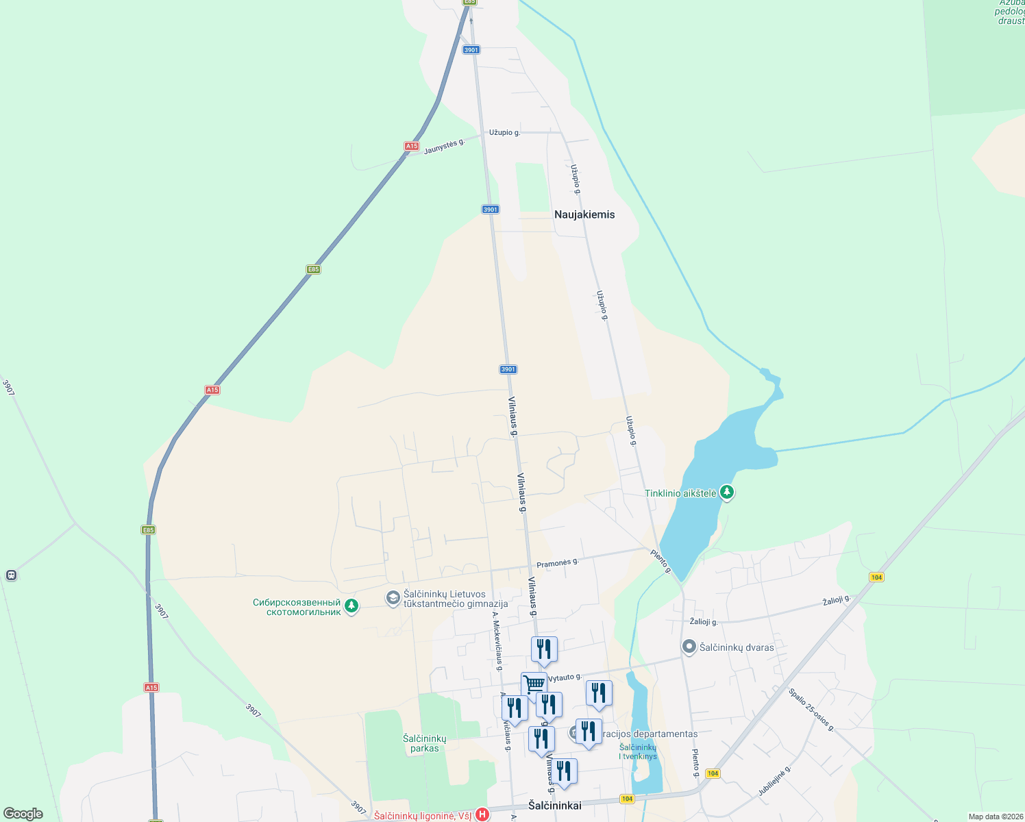 map of restaurants, bars, coffee shops, grocery stores, and more near 3901 in Šalčininkai