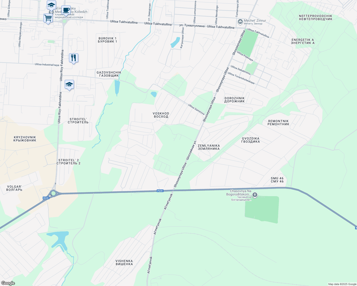 map of restaurants, bars, coffee shops, grocery stores, and more near in Almetyevsk