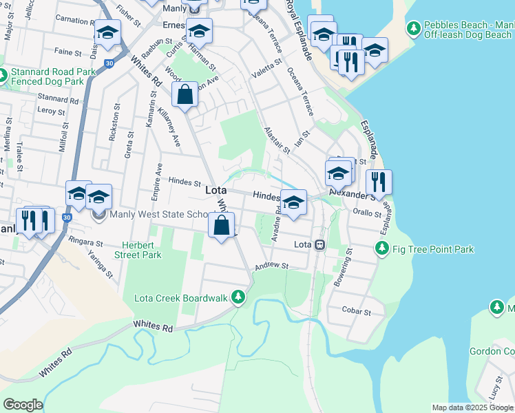 map of restaurants, bars, coffee shops, grocery stores, and more near 67 Richard Street in Lota