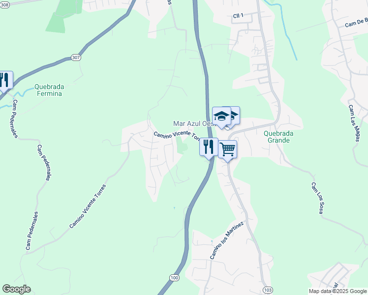 map of restaurants, bars, coffee shops, grocery stores, and more near Camino Vincente Torres in Cabo Rojo