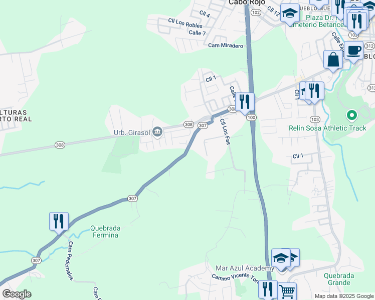 map of restaurants, bars, coffee shops, grocery stores, and more near Puerto Rico 307 in Cabo Rojo