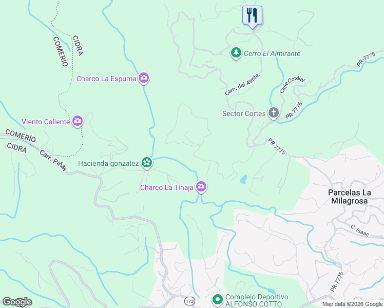 map of restaurants, bars, coffee shops, grocery stores, and more near Unnamed Road in Cidra