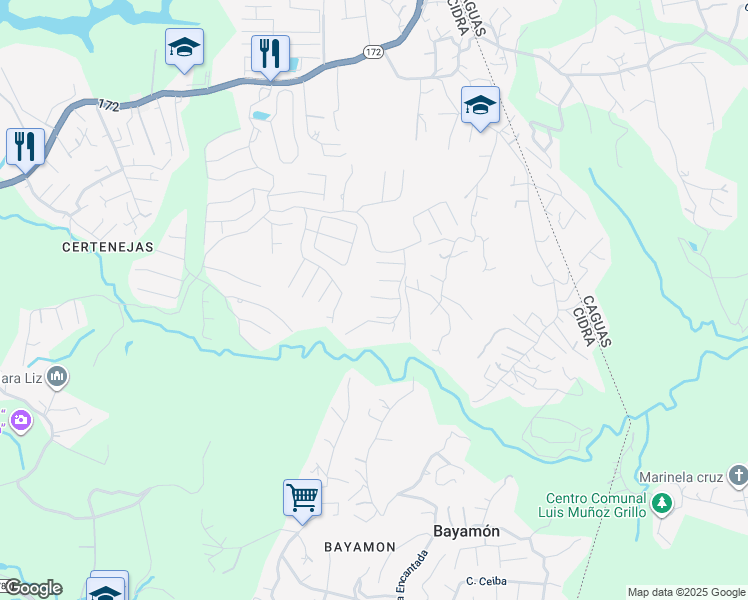 map of restaurants, bars, coffee shops, grocery stores, and more near in Bayamón