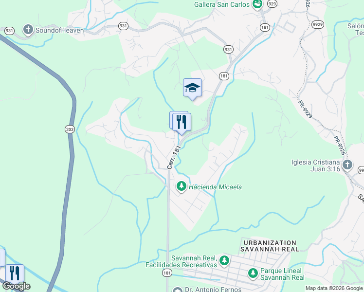 map of restaurants, bars, coffee shops, grocery stores, and more near Puerto Rico 181 in San Lorenzo