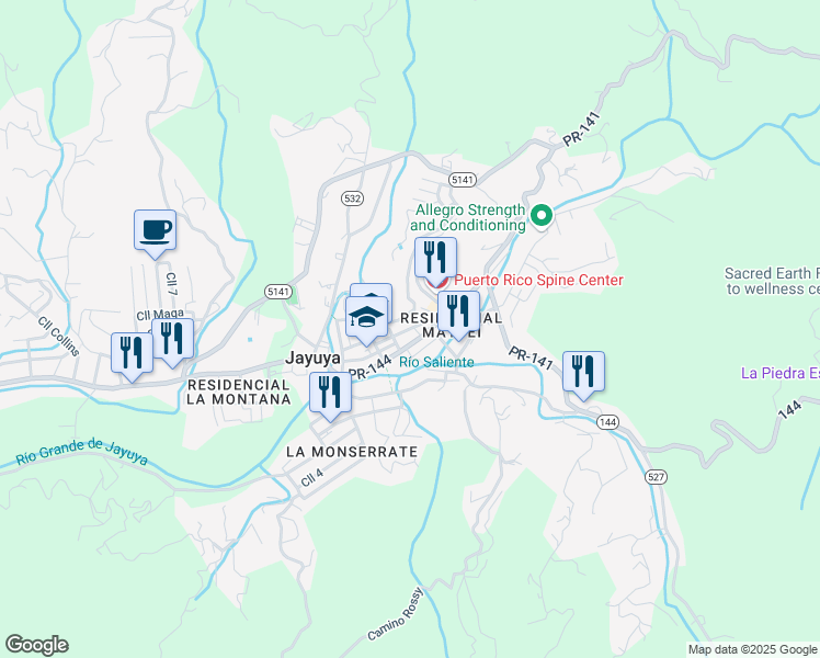 map of restaurants, bars, coffee shops, grocery stores, and more near Calle Nemesio Canales in Jayuya